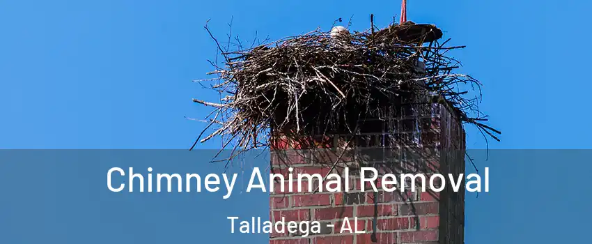  Chimney Animal Removal Talladega - AL