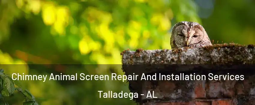  Chimney Animal Screen Repair And Installation Services Talladega - AL