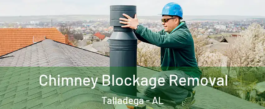  Chimney Blockage Removal Talladega - AL