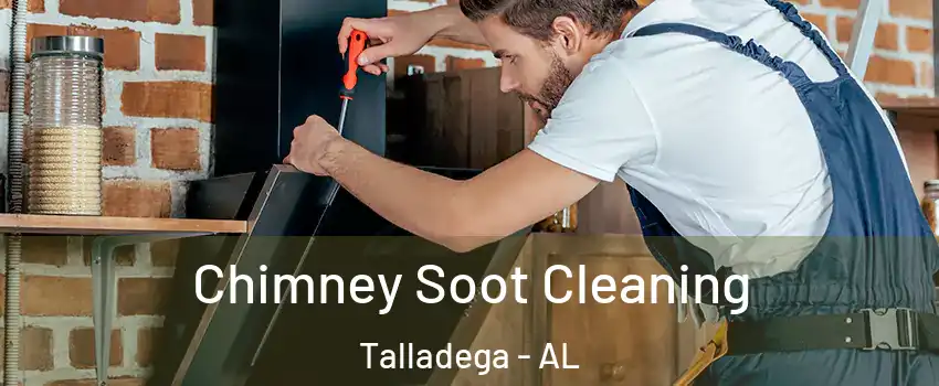  Chimney Soot Cleaning Talladega - AL