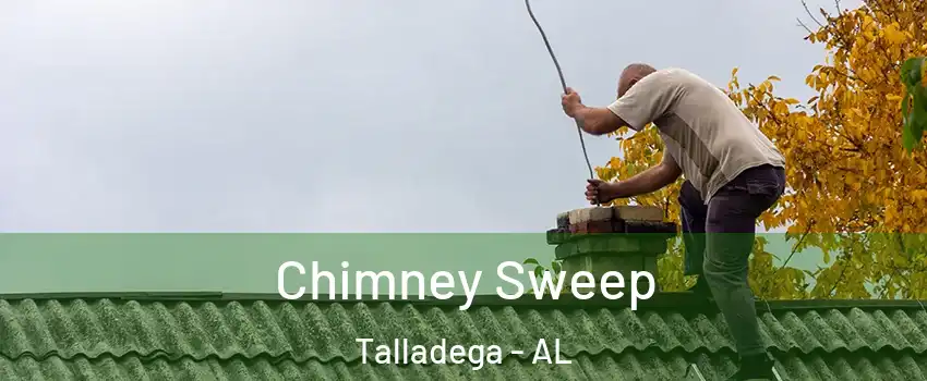  Chimney Sweep Talladega - AL