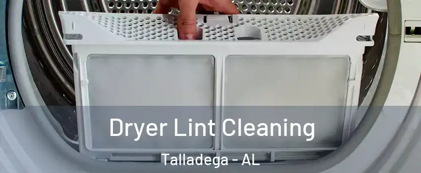  Dryer Lint Cleaning Talladega - AL
