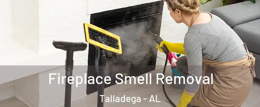  Fireplace Smell Removal Talladega - AL