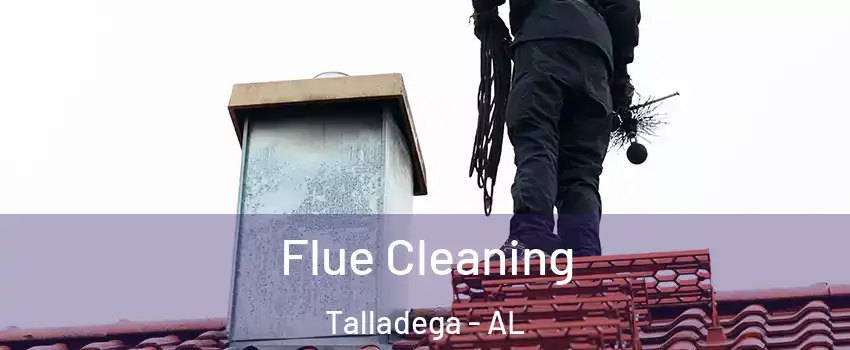  Flue Cleaning Talladega - AL