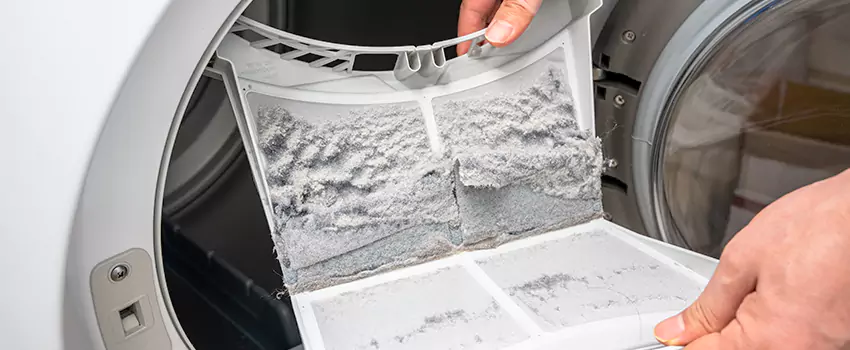 Best Dryer Lint Removal Company in Talladega, Alabama
